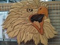 Intarsia-Eagle-Head